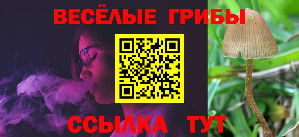 Галлюциногенные грибы Cubensis Апшеронск